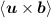 $\langle\vec{u}\times\vec{b}\rangle$