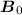 ${\vec B_0}$