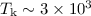 $T_{\rm k}\sim3\times10^3$