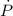 $ {\dot {P}} $