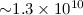 ${\sim} 1.3 \times 10^{10}$