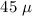 $\rm{45{\ }\mu}$