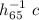 $h_{65}^{-1} \ c$