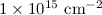 $1\times10^{15}~\mathrm{cm}^{-2}$