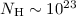 $N_{\rm H}\sim10^{23}$