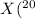 $X(^{20}$