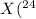 $X(^{24}$