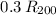 $0.3\,R_{200}$