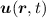 $\vec{u}(\vec{r},t)$