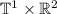 $\mathbb{T}^1 \times \mathbb{R}^2$