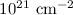 $10^{21}~{\rm cm}^{-2}$