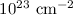 $10^{23}~{\rm cm^{-2}}$