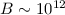 $B \sim 10^{12}$