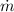 $\dot{m}$