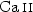 $\ion{Ca}{ii}$