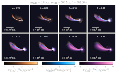 Selected isotope densities of simulated WD TDEs