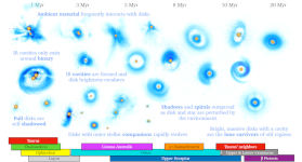 The full sample of NIR images of planet-forming disks reveals their evolution and interaction with the environment