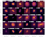 Ring-shaped protoplanetary disks in NIR polarized intensity with VLT/SPHERE