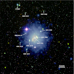 Multiwavelength view of the Hydra I cluster