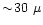 $\sim\!30~\mu$