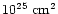 $\rm 10^{25}~cm^2$