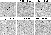 \begin{figure}
\includegraphics[angle=-90,width=8.8cm,clip]{xmm33_f3.ps}\end{figure}