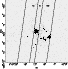 \begin{figure}
\par\resizebox{\hsize}{!}{\includegraphics[angle=-90]{XMM45_f2.ps}}\end{figure}