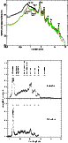 \begin{figure}
\par\includegraphics[angle=-90,width=8.8cm,clip]{xmm49_f1a.eps} \includegraphics[width=8.8cm,clip]{XMM49_f1b.eps}\end{figure}