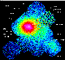 \begin{figure*}
\includegraphics[width=17.0truecm,angle=0,clip]{xmm51_fig1.eps}\end{figure*}