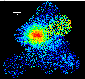 \begin{figure*}
\includegraphics[width=17.0truecm,angle=0,clip]{xmm51_fig2.eps}\end{figure*}