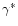 $\gamma ^*$