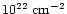 $\rm 10^{22}~cm^{-2}$