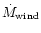 $\dot{M}_{\rm wind}$