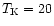 $T_{\rm K}=20$