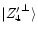 $\arrowvert
{Z'_4}^{\perp} \rangle $