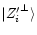 $\arrowvert
{Z'_i}^{\perp} \rangle$