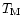 $T_{\rm M}$
