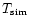 $T_{\rm sim}$