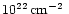$10^{22}\,\mbox{$\mbox{cm}^{-2}$ }$