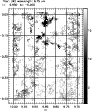 \begin{figure}
\par {\epsfig{file=ms10159f5.eps, width=8.0cm} }
\end{figure}
