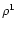 $\rho^1$