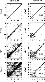 \begin{figure}\par\includegraphics{ds9808f6.eps}\end{figure}