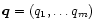 $\vec q = (q_1, \ldots q_m)$