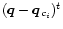 $(\vec q-\vec q_{c_i})^t$