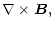 $\displaystyle \nabla \times {\vec B},$