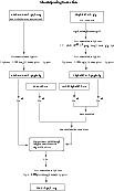 \begin{figure}
\par\resizebox{12cm}{!}{\includegraphics{H2356F13.eps}}\end{figure}