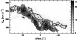 \begin{figure}
\par\resizebox{8.8cm}{!}{\includegraphics{H2356F3.eps}}\par\end{figure}