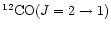 $^{12}{\rm CO}(J = 2\to 1)$