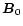 $\vec B_0$