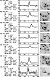 \begin{figure}
\par\includegraphics[width=8.8cm,clip]{MS10032f1.eps}\end{figure}